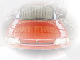 wp09ebe251_0f.jpg