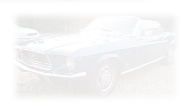 wp1b20d19d_0f.jpg