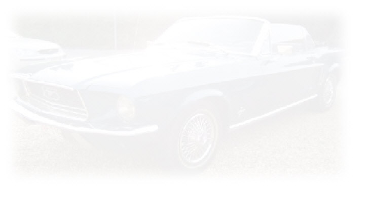 wp9df6ab82_0f.jpg